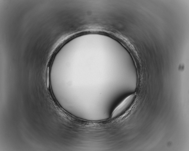 X0000098211175200805151245