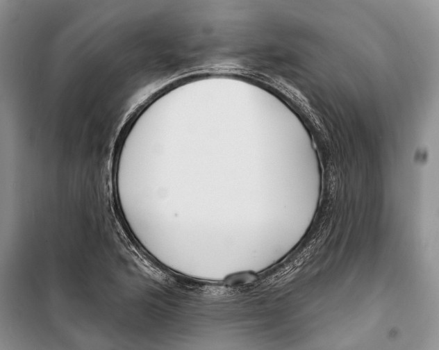 X0000098211176200805151245