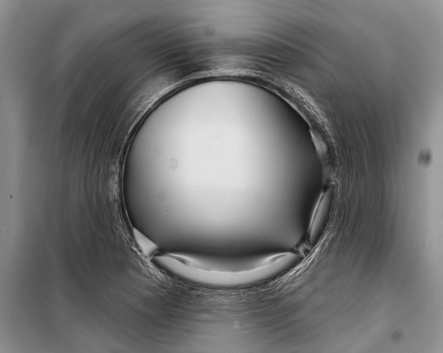 X0000098211177200805151245
