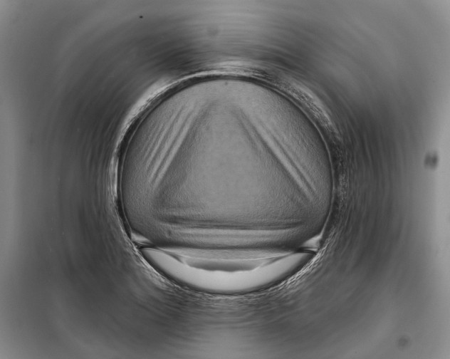 X0000098211180200805151245