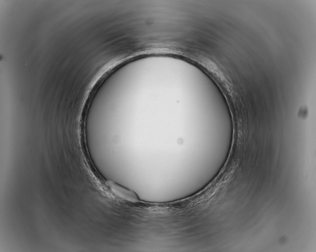 X0000098211181200805151245