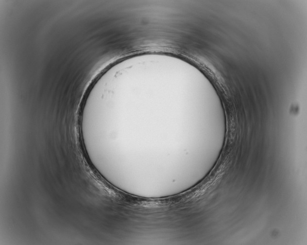 X0000098211182200805151245