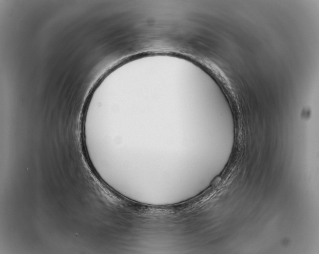 X0000098211183200805151245