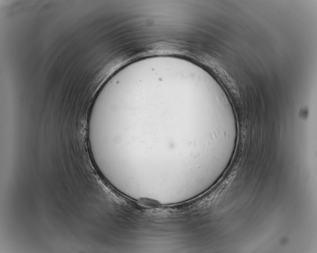X0000098211185200805151245