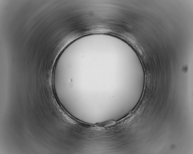 X0000098211186200805151245