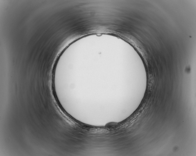 X0000098211187200805151245