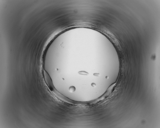 X0000098211188200805151245