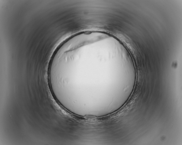 X0000098211189200805151245