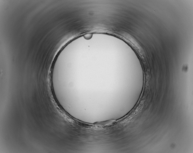 X0000098211190200805151245