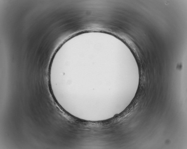 X0000098211191200805151245