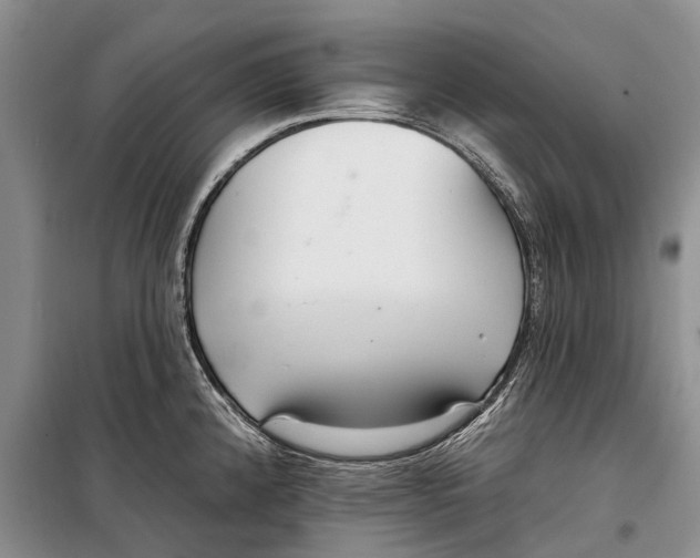 X0000098211192200805151245