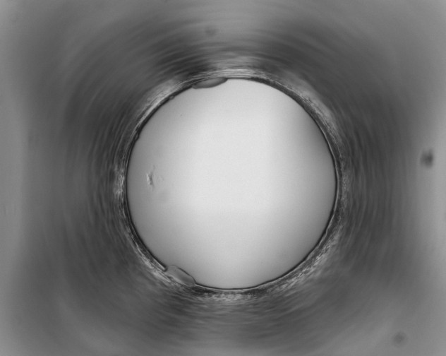 X0000098211193200805151245