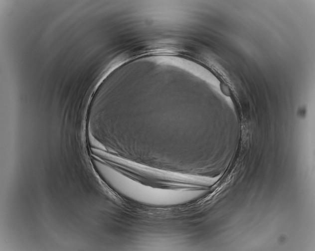 X0000098211194200805151245
