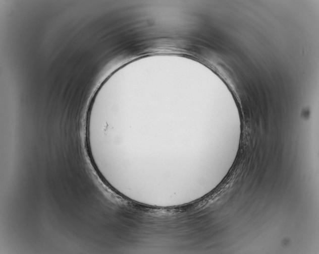 X0000098211195200805151245