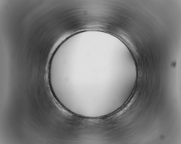 X0000098211196200805151245