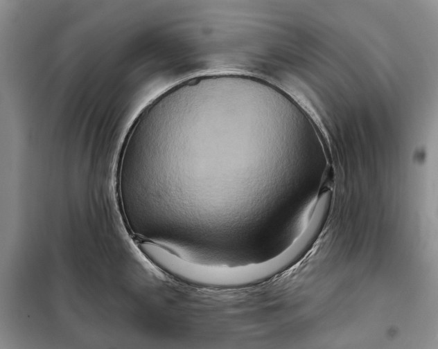 X0000098211197200805151245