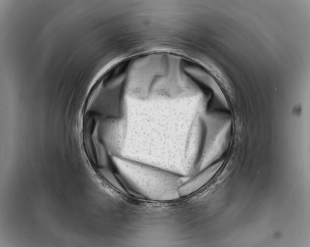 X0000098211198200805151245