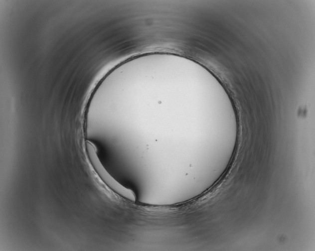 X0000098211200200805151245