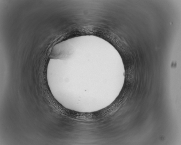 X0000098211201200805151244