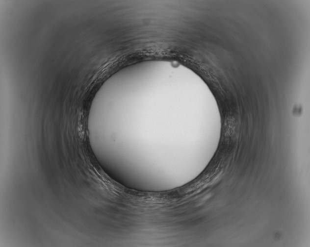 X0000098211202200805151244