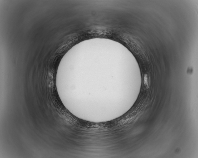 X0000098211203200805151244