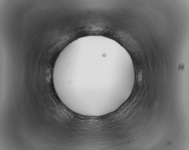 X0000098211204200805151244