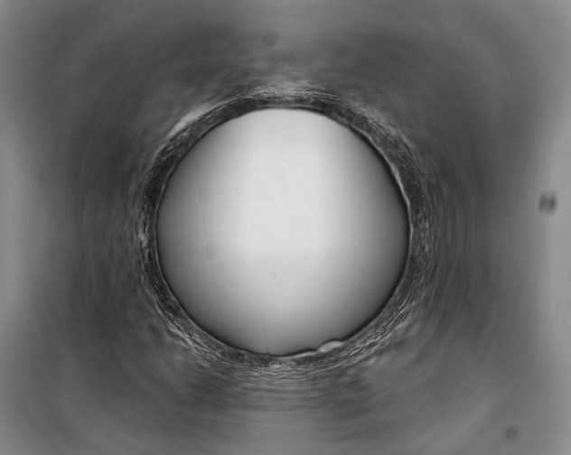 X0000098211206200805151244