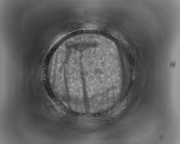 X0000098211208200805151244