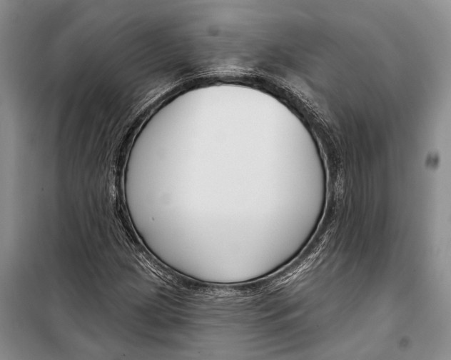 X0000098211209200805151244