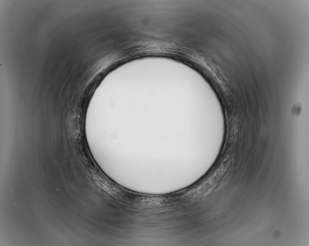 X0000098211211200805151244