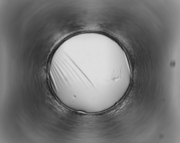 X0000098211212200805151244