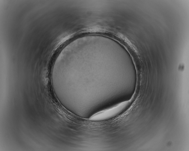 X0000098211213200805151244