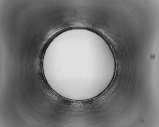 X0000098211215200805151244