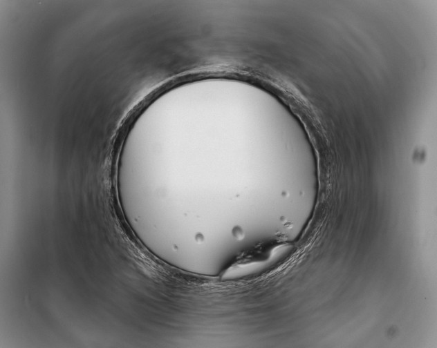 X0000098211216200805151244