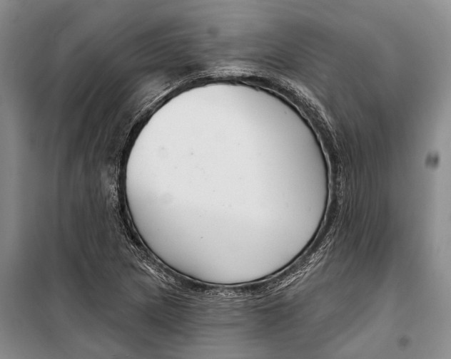 X0000098211217200805151244