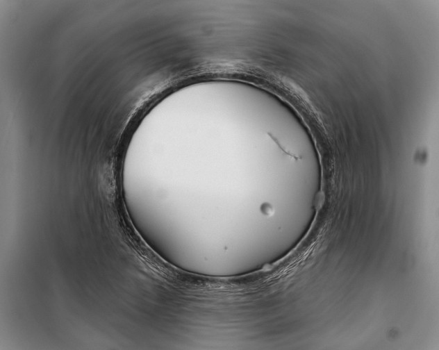 X0000098211218200805151244