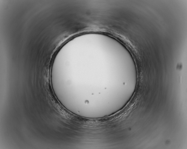 X0000098211220200805151244