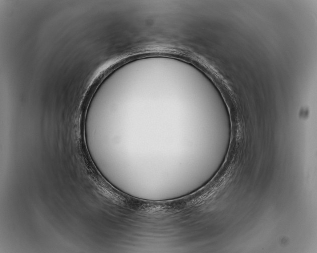 X0000098211222200805151244