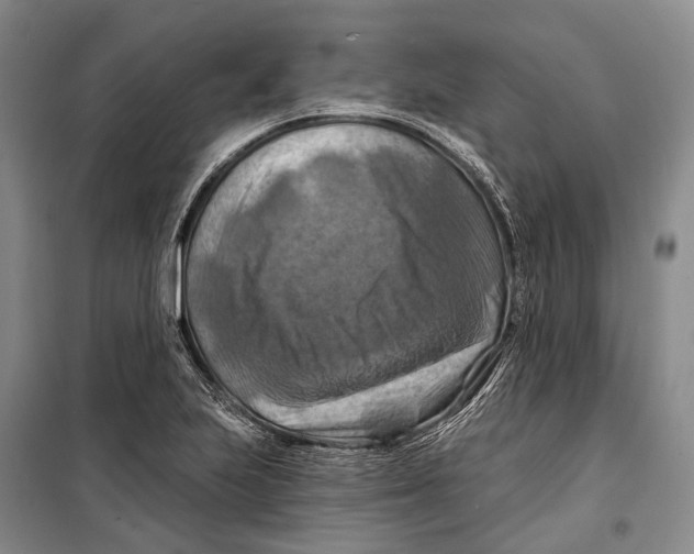 X0000098211223200805151244