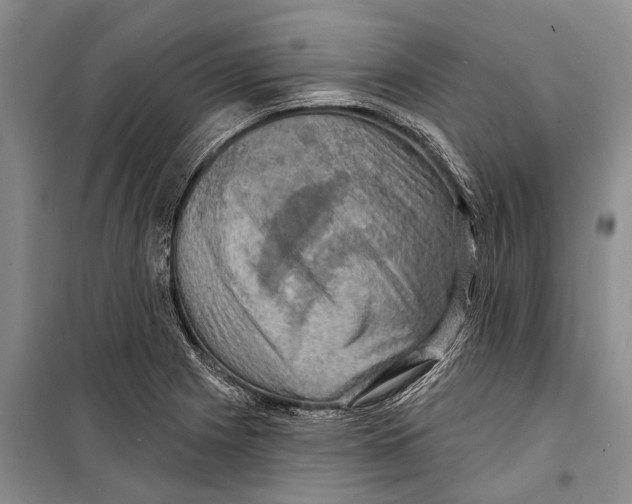 X0000098211225200805151244