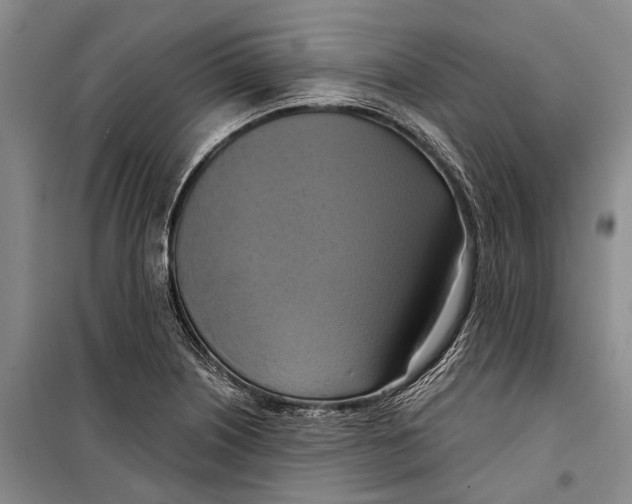 X0000098211226200805151244