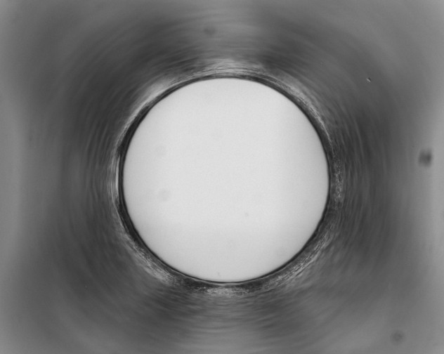 X0000098211227200805151244