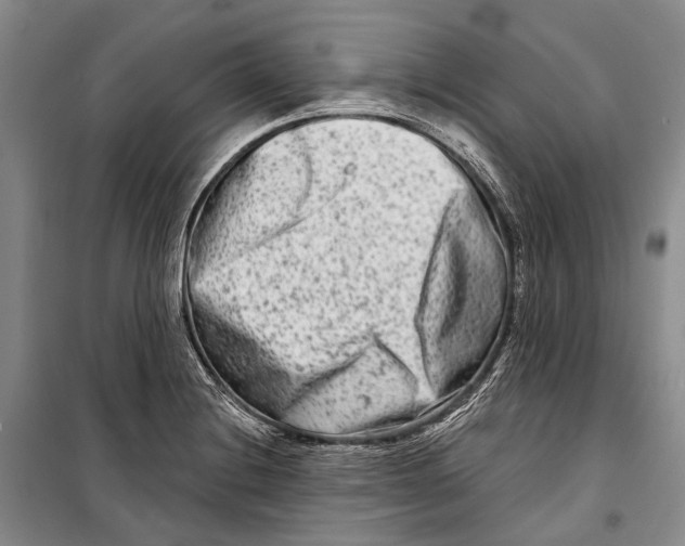 X0000098211228200805151244