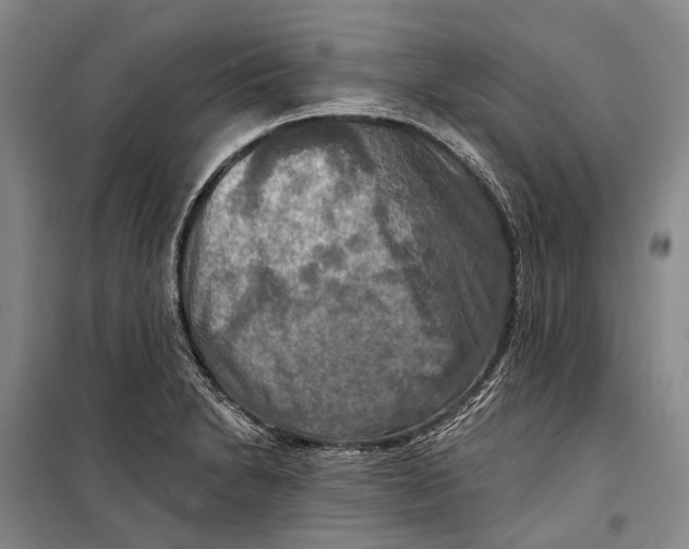 X0000098211230200805151244