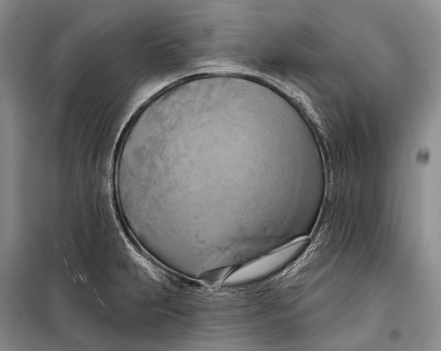 X0000098211231200805151244
