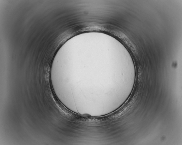 X0000098211233200805151245
