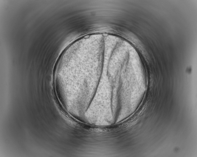 X0000098211234200805151245