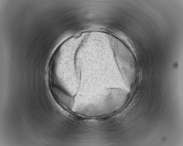 X0000098211235200805151245