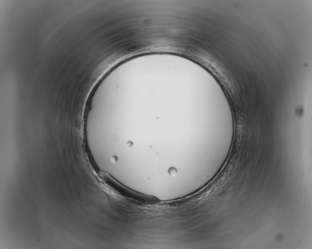 X0000098211236200805151245