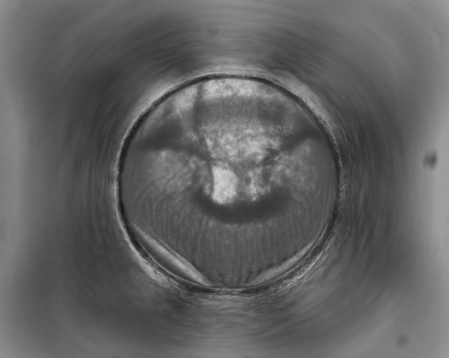 X0000098211237200805151245